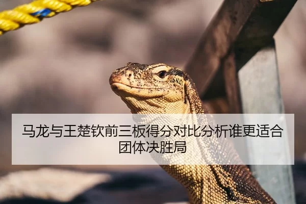 马龙与王楚钦前三板得分对比分析谁更适合团体决胜局