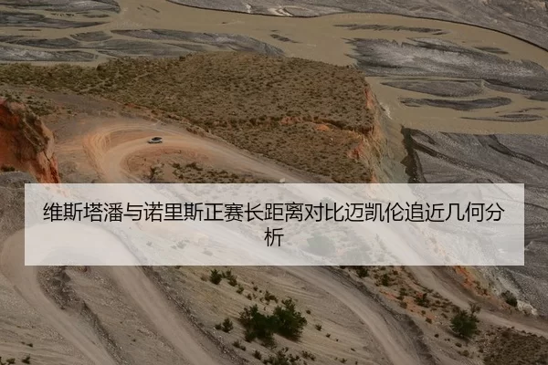 维斯塔潘与诺里斯正赛长距离对比迈凯伦追近几何分析