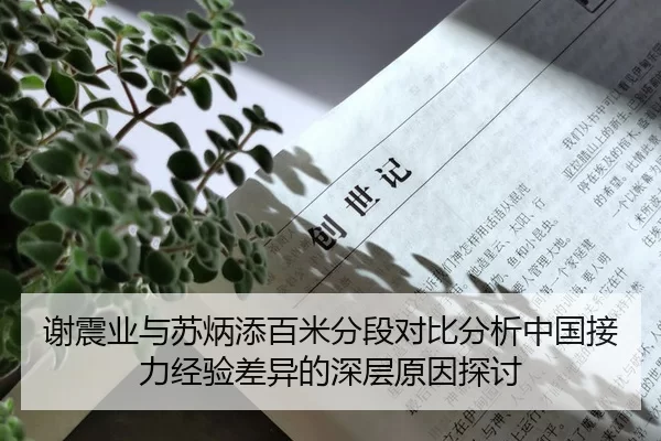 谢震业与苏炳添百米分段对比分析中国接力经验差异的深层原因探讨