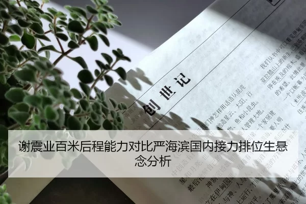 谢震业百米后程能力对比严海滨国内接力排位生悬念分析
