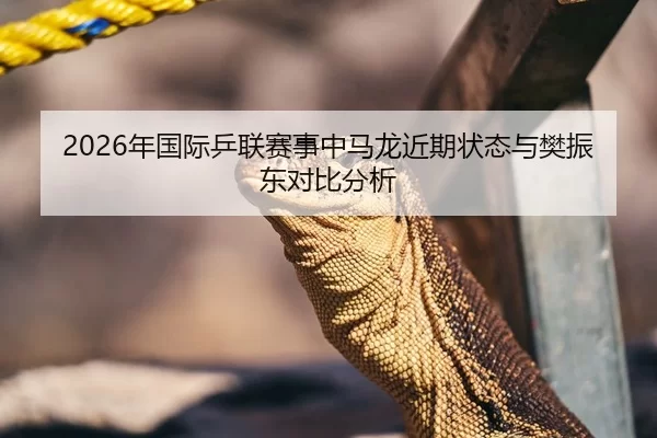 2026年国际乒联赛事中马龙近期状态与樊振东对比分析