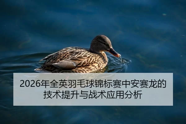 nian-quan-ying-yu-mao-qiu-jin-biao-sai-zhong-an-sai-long-de-ji-shu-ti-sheng-yu-zhan-shu-ying-yong-fen-xi-2-742.jpg
