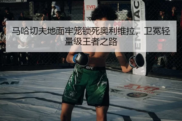 ma-ha-qie-fu-di-mian-lao-long-suo-si-ao-li-wei-la-wei-mian-qing-liang-ji-wang-zhe-zhi-lu-2-459.jpg