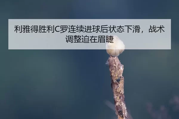 li-ya-de-sheng-li-luo-lian-xu-jin-qiu-hou-zhuang-tai-xia-hua-zhan-shu-tiao-zheng-po-zai-mei-jie-2-791.jpg